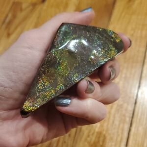 Ammolite Fossil